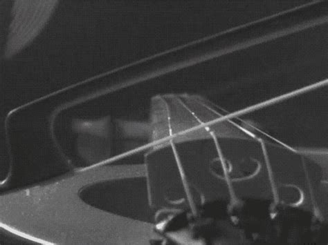 Image result for D String GIF