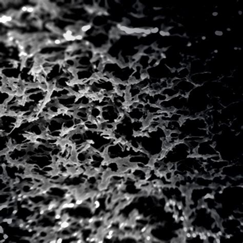 Air Liquid Interface Cell Culture | ALI In Vivo Disease Modeling | Corning