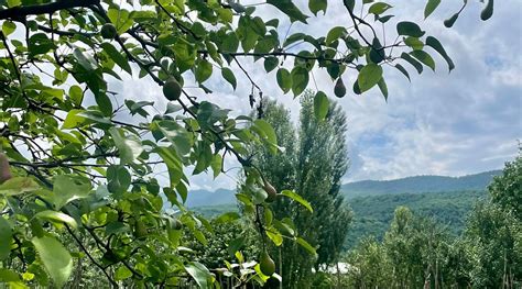 GOOD MOOD QUBA HOTEL & RESTORAN (Qechresh) - Specialty Hotel Reviews ...