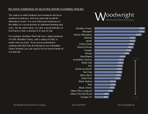 Winter Woods - Woodwright