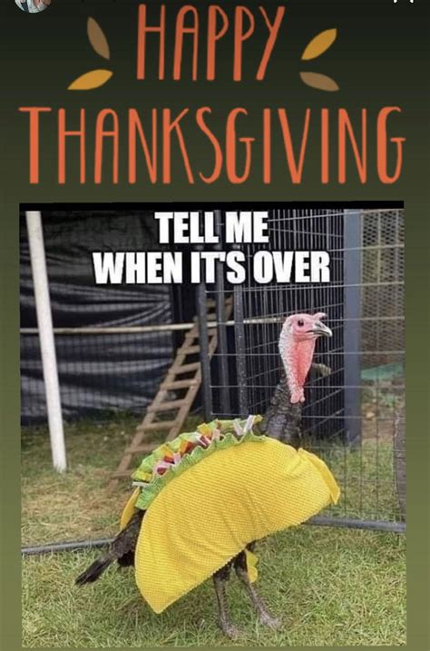 Turkey Meme Funny