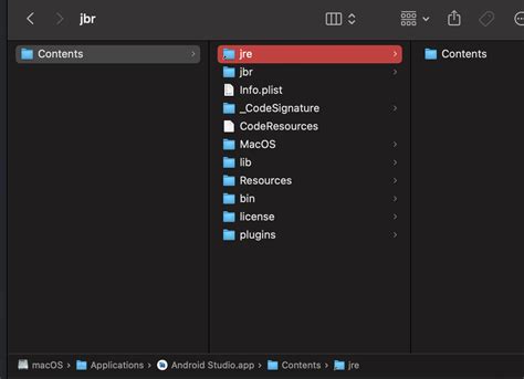 Image result for Flutter Unable to Find Bundled Java Version