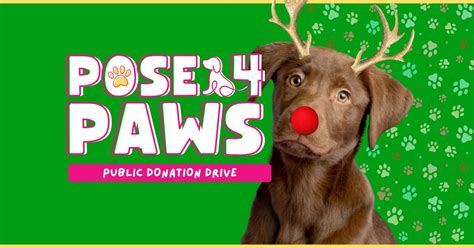 Pose4Paws Public Donation Drive , 804 Inlet Square Drive, Suite B ...
