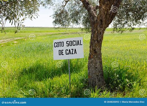 Sign in Meadow Next To Tree. in Spanish Says: Social Hunting Preserve ...