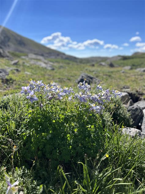Loch Lomond is so underrated : r/coloradohikers