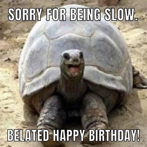 50+ Funny Happy Belated Birthday Memes for Everyone
