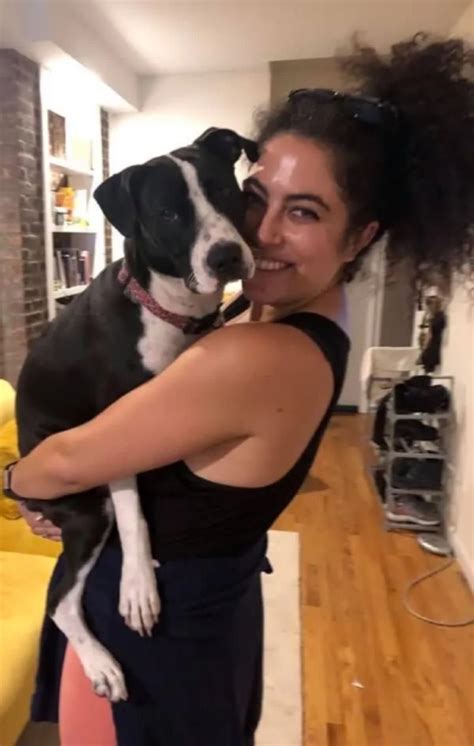 Candido Rodriguez: Manhattan man charged after ex-girlfriend Melanie ...