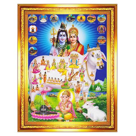 Pavan Photo Laminations Gomatha Gomata Komatha Cow and Calf Kamdhenu ...