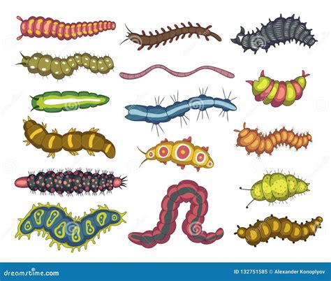 Los gusanos | Biología | nemátodos y anélidos | Wikisabio