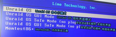 unRAID Tutorial 的图像结果