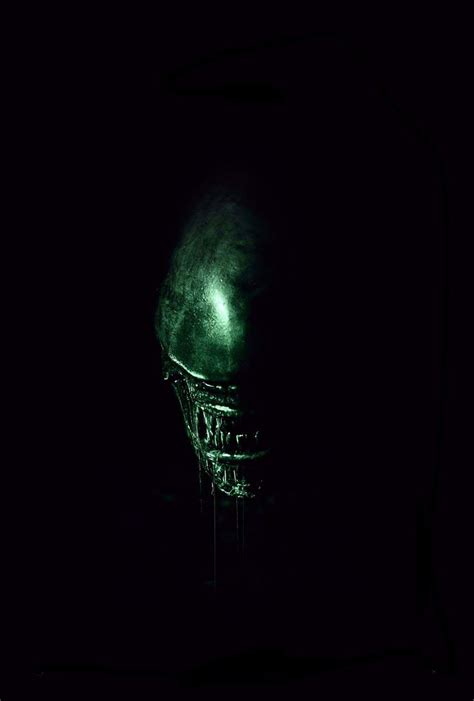 Image result for Alien 2024 Humanoide