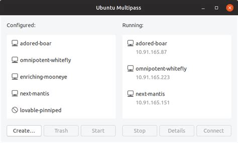 Image result for Ubuntu Multi Pass Tutorial
