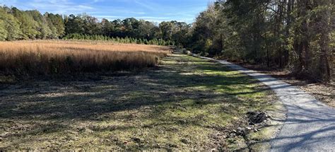 Beech Bluff County Park Trails, North Carolina - 112 Reviews, Map ...