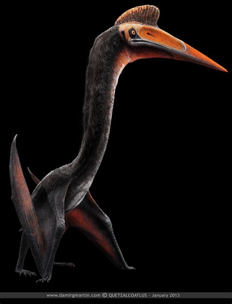 Quetzalcoatlus Dinosaur Coloring Page