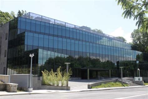 Core Algorithm Vector 的图像结果