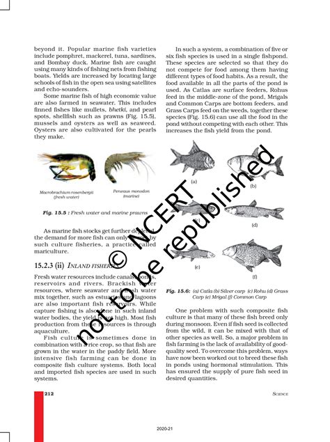 Image result for Grade 10 Science Lessons