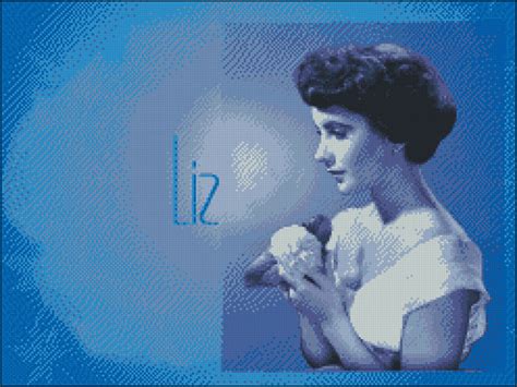 Elizabeth Taylor (2) - Hilos para Bordar (Rosace, Panda, Anchor, DMC ...