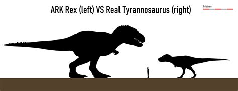 Tyrannosaurus Size Comparison