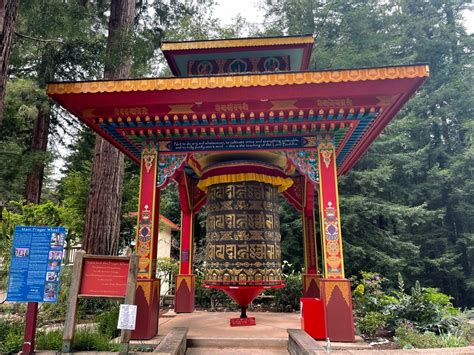 Land of the Medicine Buddha - Seb Frey, Silicon Valley + Bay Area REALTOR