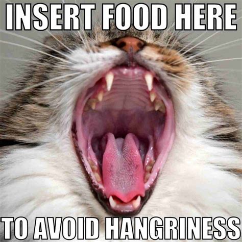 Hangry Memes - 15+ Funny Hungry Angry Images
