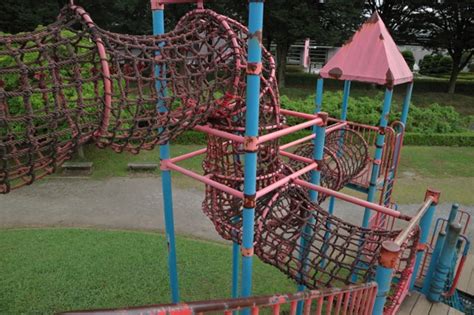 Image result for Rose Curve in Python Code