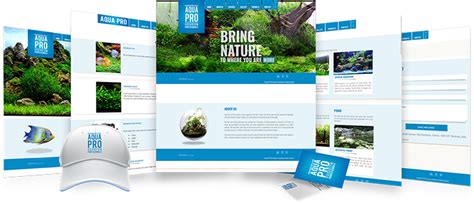 DaVinci Creatives | AQUA PRO | Case Study