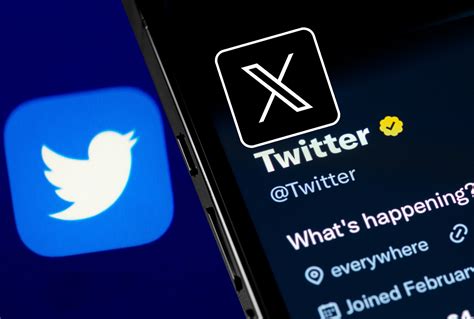 ¿Por qué el logo de Twitter era un pájaro y qué significa la nueva X en la red social? - Alto Nivel