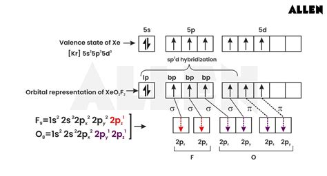 Understanding the Hybridization of Xenon Dioxide Difluoride, Structure and Properties of XeO2F2.