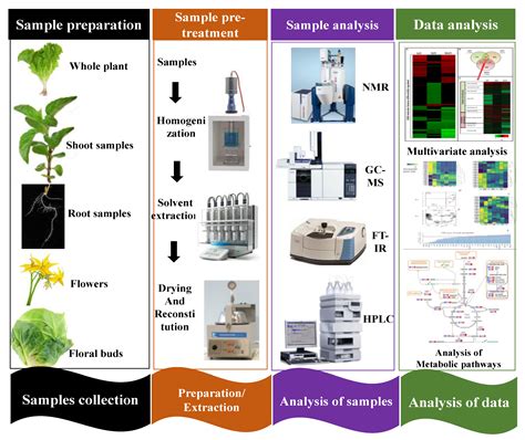 Metabolomics-Based Mechanistic Insights into Revealing the Adverse ...