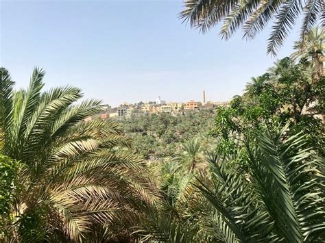 Perfect stay in Misfah - Review of Al Misfah Hospitality Inn, Misfat al ...
