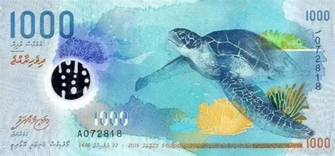 马尔代夫使用什么货币 马尔代夫使用什么货币合算