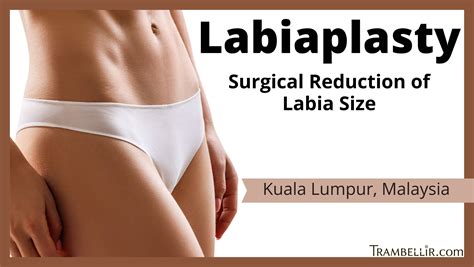 Image result for Labial Reduction Surgery