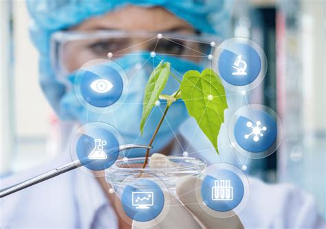 Technologia 的图像结果