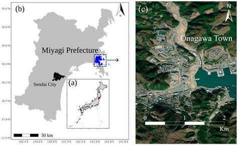 Tsunami Inundation Modelling in a Built-In Coastal Environment with ...