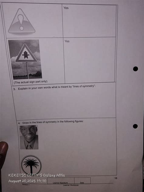 Explain in your own words what is meant by "lines of symmetry". Draw in