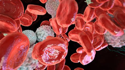 Understanding Polycythemia Vera: Causes, Symptoms, and Treatment Options - CBDTIC