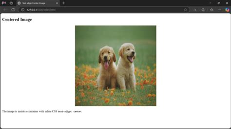 Image result for How to Align Internal Images in HTML