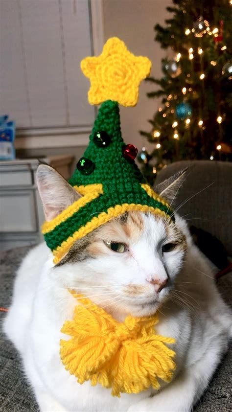 Cute christmas tree cat hat – Artofit