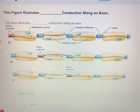 Continuous Conduction 的图像结果