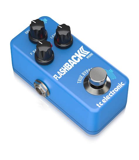 Image result for TC Electronics Flashback Mini II