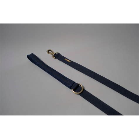 IndieGood Sturdy Canvas Dog Leash - Blue - Orange Pet Nutrition