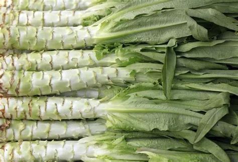 莴笋和莴苣是同一种蔬菜吗？它们究竟有什么区别？看完涨知识了_腾讯新闻