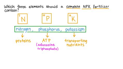Components Of Npk Fertilizer - Infoupdate.org