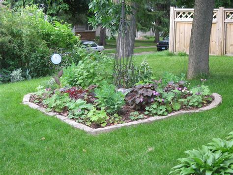 Lasagna Gardening   Garden.org