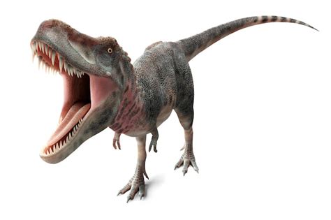 3d rendering dinosaur utahraptor on white | Premium Photo