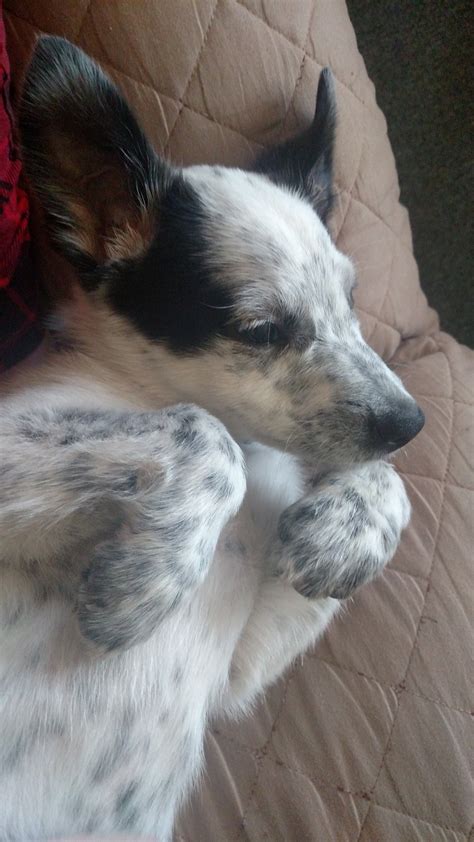 Am I funny yet? on Tumblr