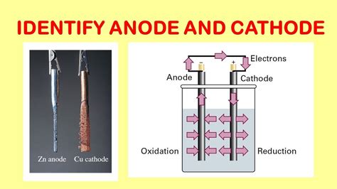Image result for Anode Cathode Electroplating