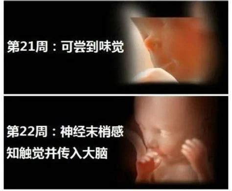怀孕20-24周胎儿情况，孕妈有3个变化，缺钙和耻骨痛最明显