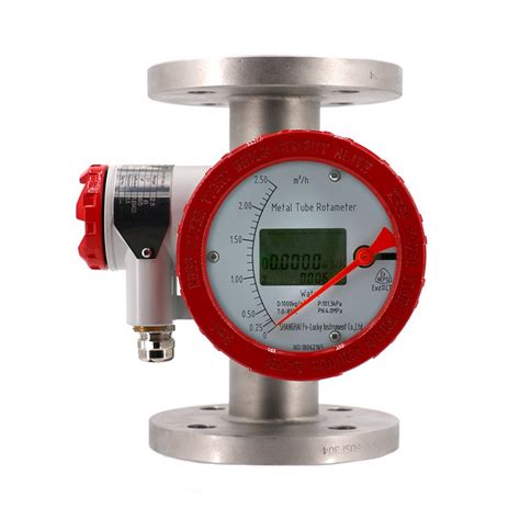 Float Flowmeter 的图像结果