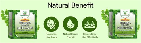Buy Khadi Organic and Natural Black Mehandi for Hair By Bhudevam ...
